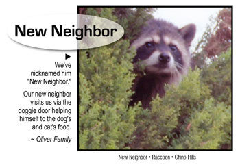 New Neighbor
